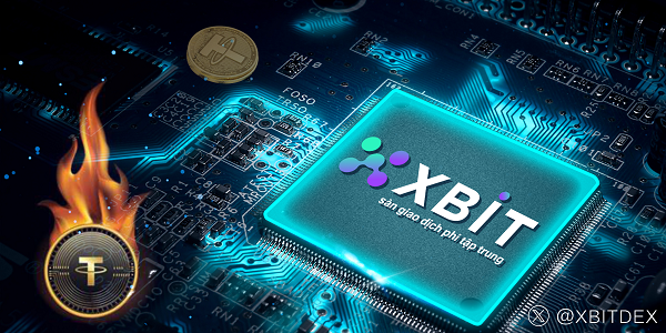 XBIT XÂY DỰNG TƯỜNG LỬA AN TOÀN