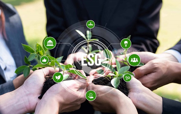 Đầu tư ESG Việt Nam: Xu hướng tài chính xanh